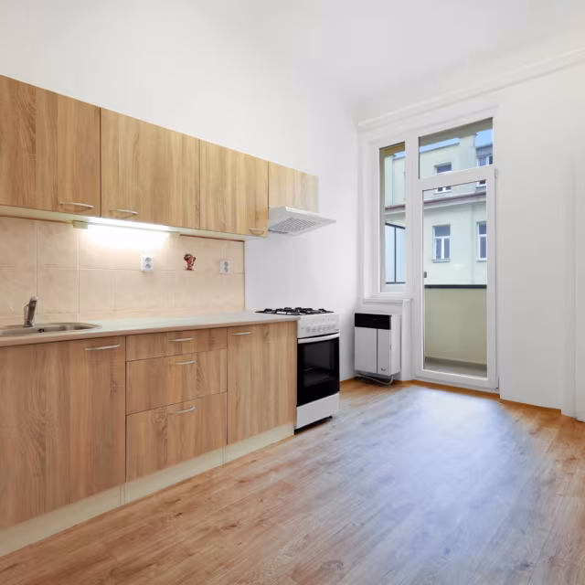 Pronájem bytu 1+1 54 m² Rybníček, Brno – Ponava